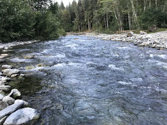 Pyrites Creek Picture 6