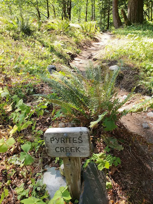 Pyrites Creek Picture 8