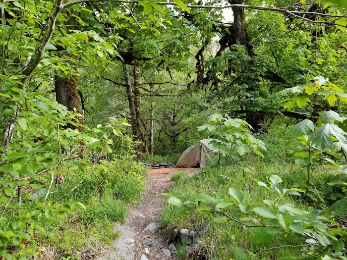 O' Neil Creek Picture 1