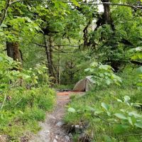 O' Neil Creek ico