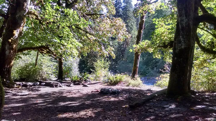 O' Neil Creek Picture 5