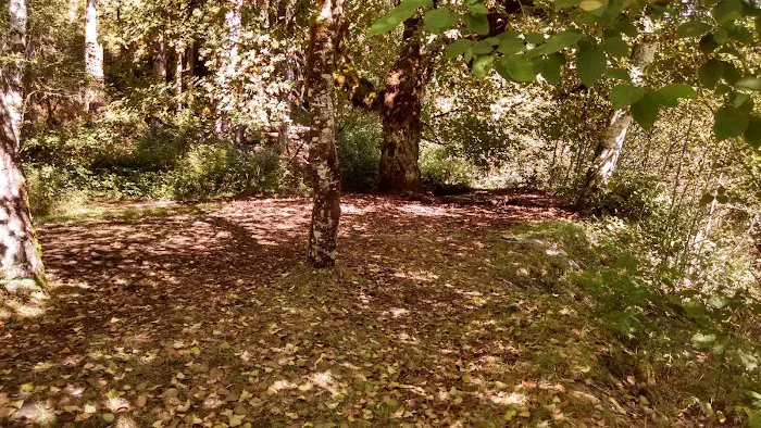 O' Neil Creek Picture 8