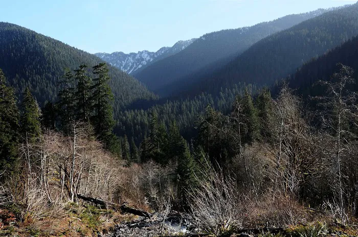 O' Neil Creek Picture 4