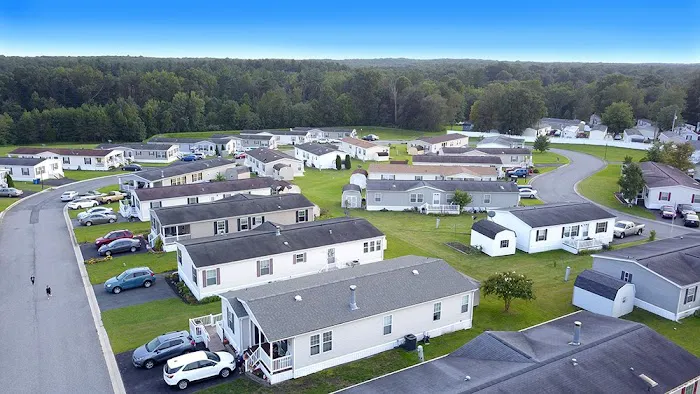 Sherwood Forest Picture 3