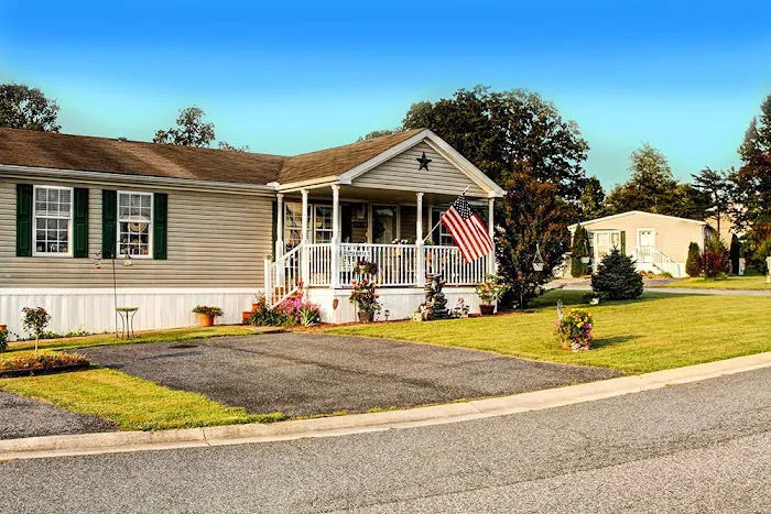 Sherwood Forest Picture 6