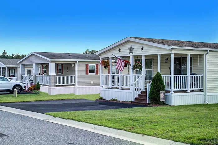 Sherwood Forest Picture 2