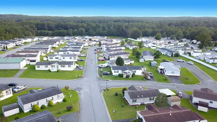 Sherwood Forest Picture 7