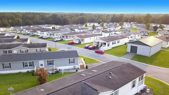 Sherwood Forest Picture 4