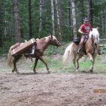 Whispering Pines Mobile Home