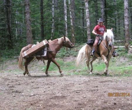 Whispering Pines Mobile Home