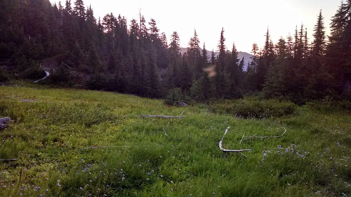 Belview Picture 1