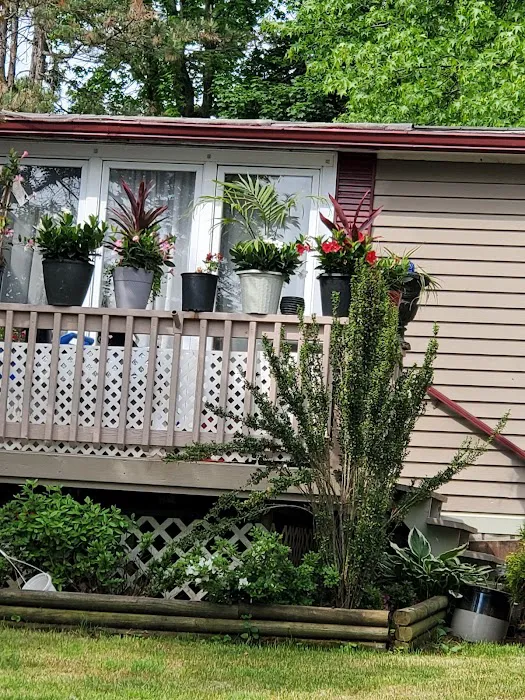 Green Acres Picture 1