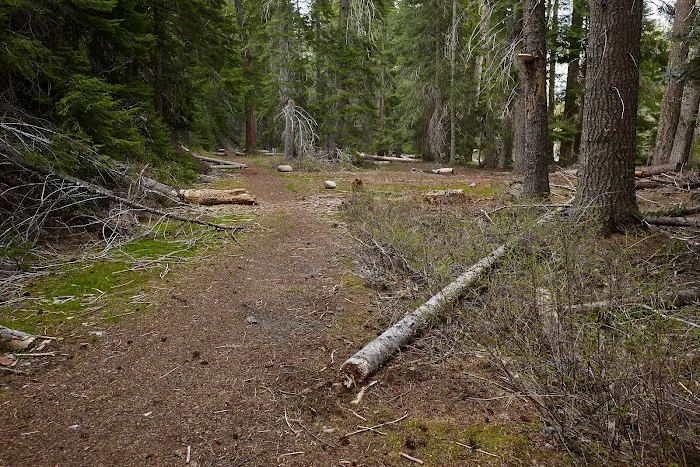 American Forks Campground Picture 9
