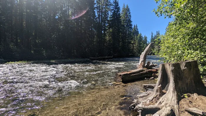 Cedar Springs Campground Picture 1