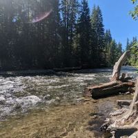 Cedar Springs Campground ico