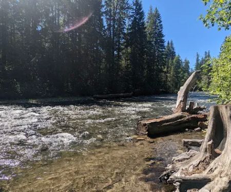 Cedar Springs Campground