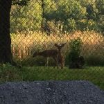 Whispering Hollow South Mobile Home Park, by Valley Community Management