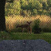 Whispering Hollow South Mobile Home Park, by Valley Community Management ico