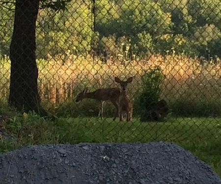 Whispering Hollow South Mobile Home Park, by Valley Community Management