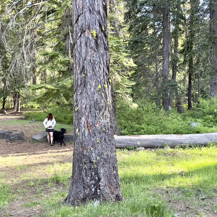 Crow Creek Campground Picture 3