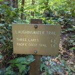 Ohanapecosh Campground