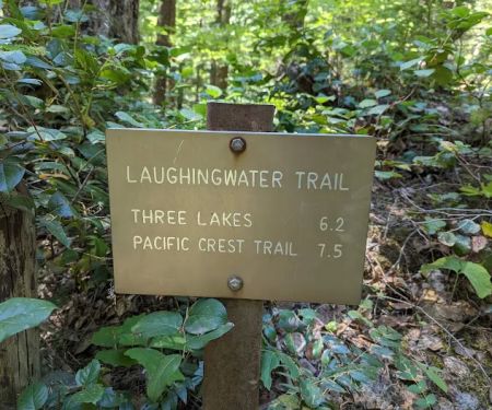 Ohanapecosh Campground