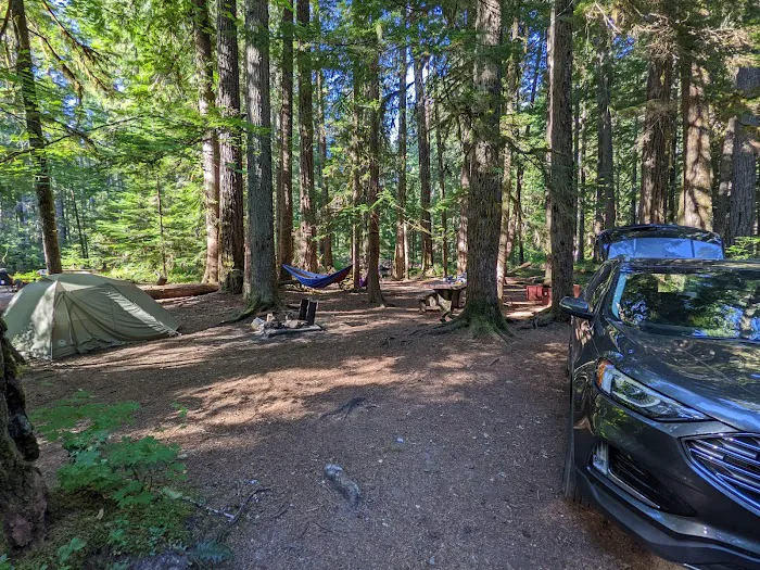 Ohanapecosh Campground Picture 5