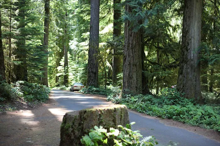 La Wis Wis Campground Picture 7