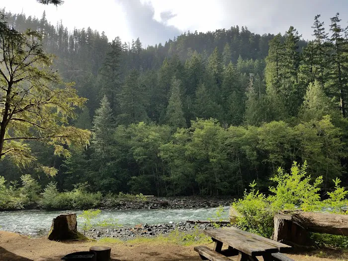 La Wis Wis Campground Picture 4