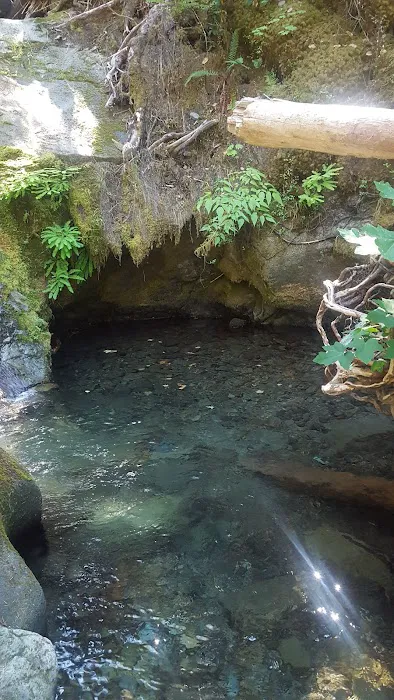 La Wis Wis Campground Picture 9