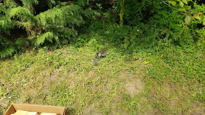 Soda Spring Campground Picture 5