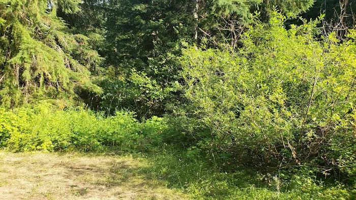 Soda Spring Campground Picture 1