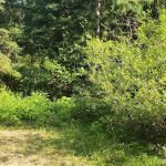 Soda Spring Campground