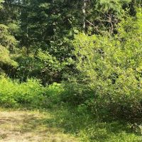 Soda Spring Campground ico