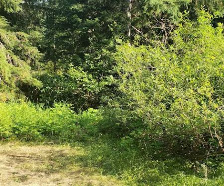 Soda Spring Campground