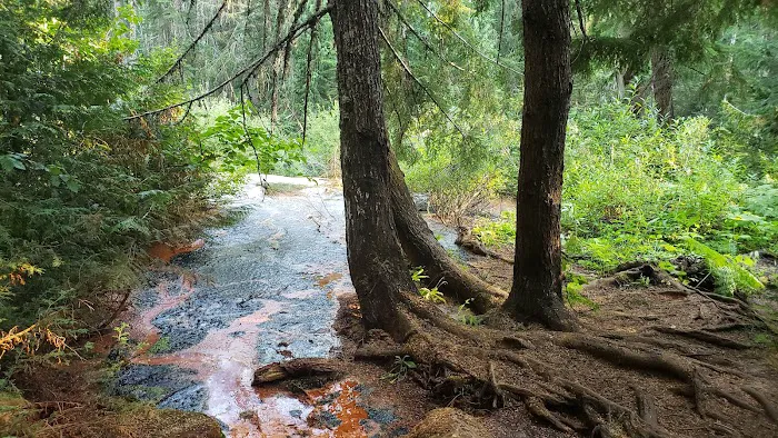 Soda Spring Campground Picture 3