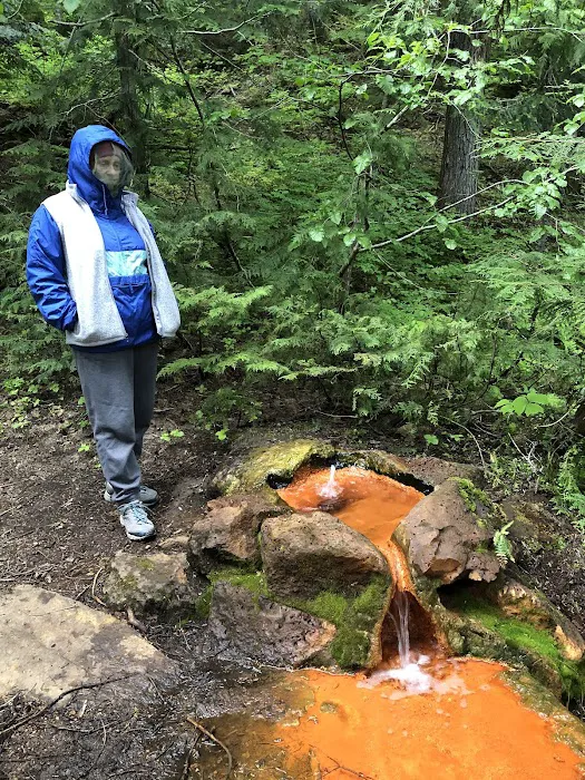 Soda Spring Campground Picture 8