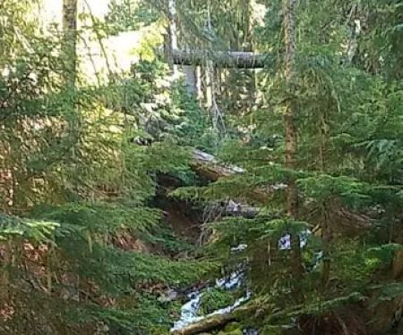 Knuppenburg Lake Campground