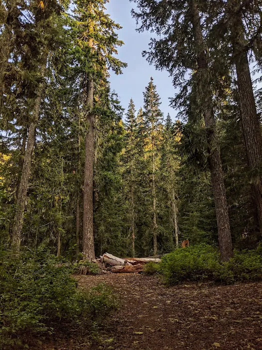 Knuppenburg Lake Campground Picture 5
