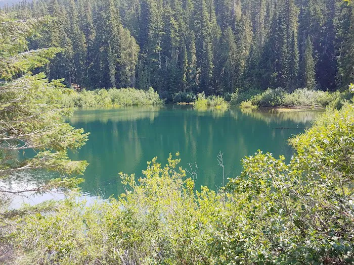 Knuppenburg Lake Campground Picture 9
