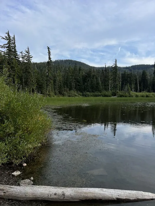 White Pass Lake Picture 6