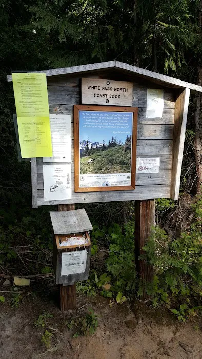 White Pass Lake Picture 8