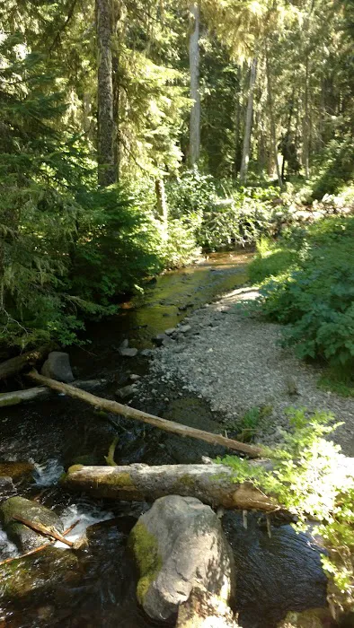 White Pass Horse Camp Picture 8