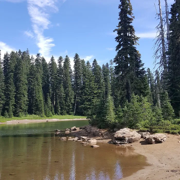 White Pass Horse Camp Picture 10