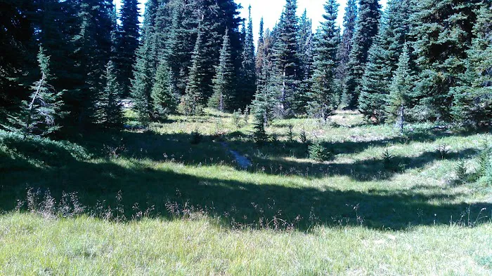 White Pass Horse Camp Picture 5