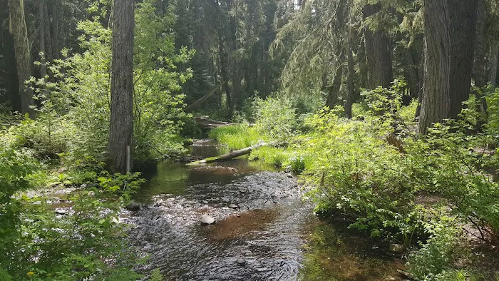 White Pass Horse Camp Picture 7