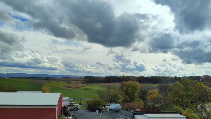 Pine Hill RV Park Picture 6