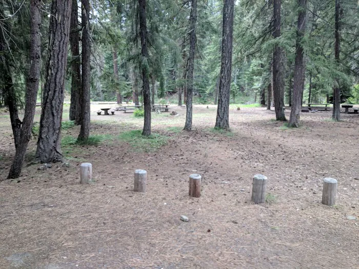 Kaner Flat Group Campsite Picture 4