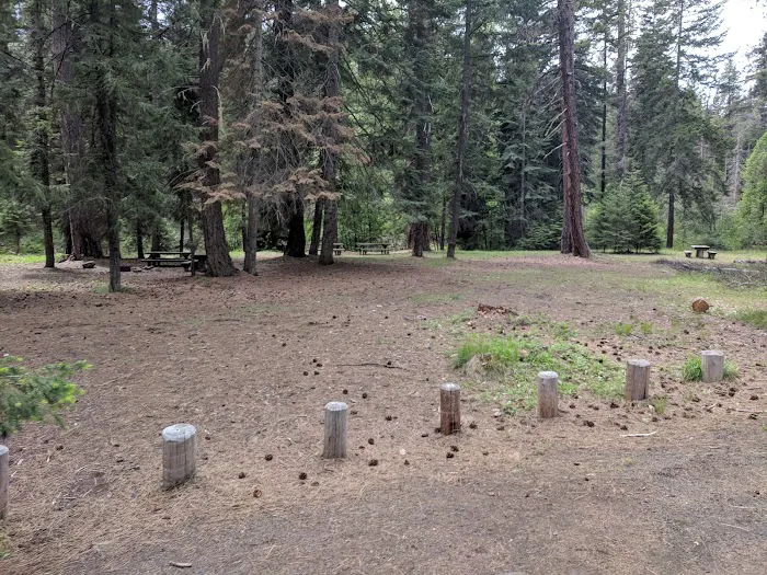Kaner Flat Group Campsite Picture 8