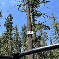 Kaner Flat Campground ico